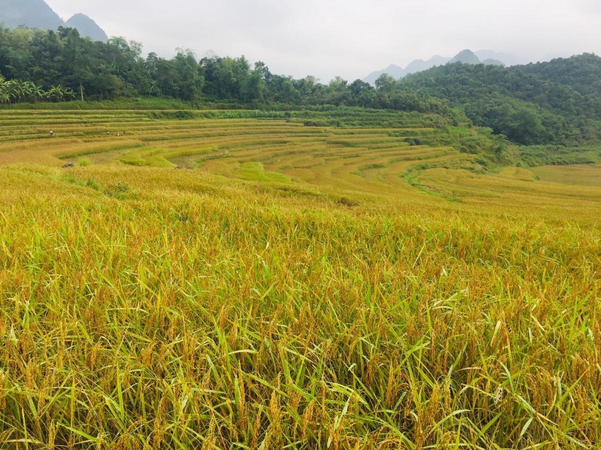 Pu Luong Ecolodge Екстер'єр фото